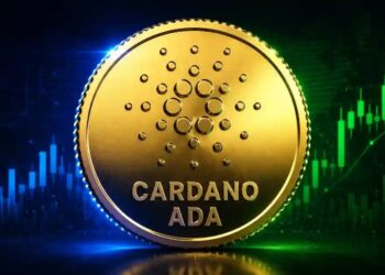 Cardano Price Surges 6%—Can Whale Accumulation Push ADA to $0.30?