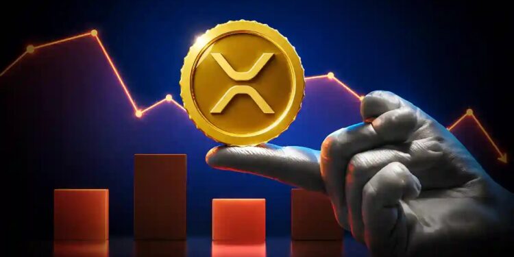 Is XRP Going To Go Up