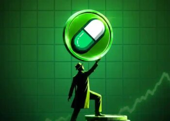Navigating the Risks of Memecoins