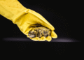A Federal US Crypto Bank Just Added Physical Uranium Tokens