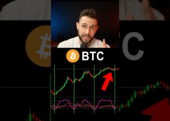 Bitcoin Bull Run Has Started