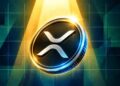 Does David Schwartz's Comment Put $15 to $50 XRP Back on the Table?