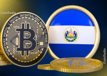 El Salvador Has Not Used Public Funds to Buy Bitcoin