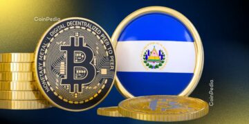 El Salvador Has Not Used Public Funds to Buy Bitcoin