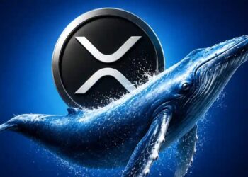 Evernorth CEO On A Decade-Long Wall Street U-Turn On XRP