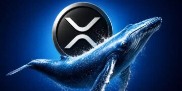 Evernorth CEO On A Decade-Long Wall Street U-Turn On XRP