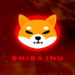 SHIB Price Prediction: Dead-Cat Bounce or Real Recovery? The $0.0000057 Wall Will Decide Everything