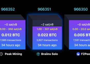 Solo Bitcoin Miner Hits $244K Jackpot After Nearly 40-Day Drought