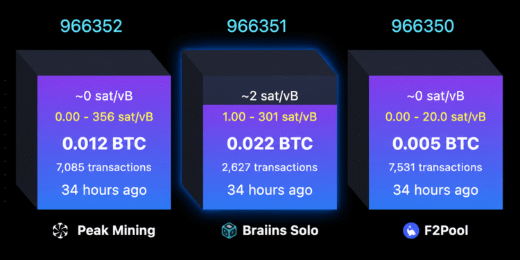 Solo Bitcoin Miner Hits $244K Jackpot After Nearly 40-Day Drought