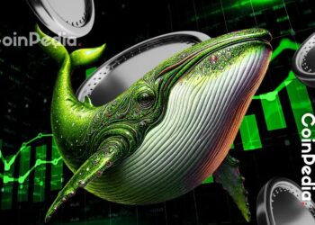 These 5 Altcoins Are Seeing the Biggest Whale Accumulation Right Now