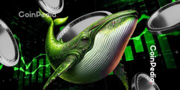 These 5 Altcoins Are Seeing the Biggest Whale Accumulation Right Now