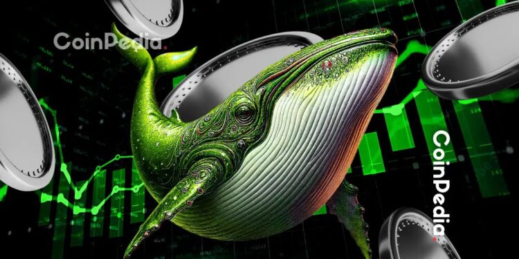 These 5 Altcoins Are Seeing the Biggest Whale Accumulation Right Now