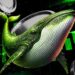 These 5 Altcoins Are Seeing the Biggest Whale Accumulation Right Now