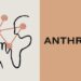 Anthropic sets out equity commitment for public benefit fund
