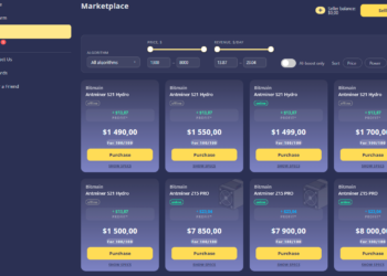 Tokenized stock dividend onchain reinvestment