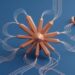 Claude Duet outlines safety and privacy controls in research preview