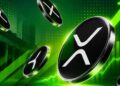 Ripple President Reveals Plan To Let Payment Customers Borrow Against XRP